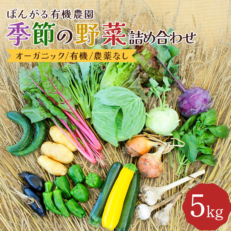 オーガニック 有機 農薬なし ぽんがる有機農園 季節の野菜 詰め合わせ 5kg茨城県笠間市11000野菜・きのこじゃがいも・イモ類