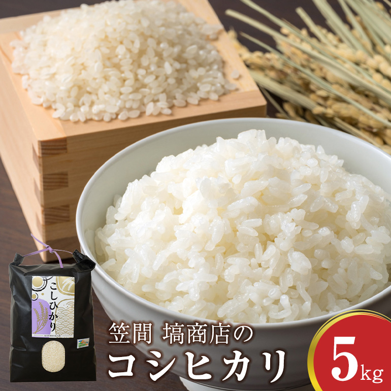令和7年度産 笠間 塙商店の コシヒカリ 5kg 米 新米 精米 ブランド米 お米 白米 国産 おにぎり 弁当 R7年産 ごはん おいしい 旨い ふっくら お米 茨城県 笠間市 いばらき ID-018茨城県笠間市18000