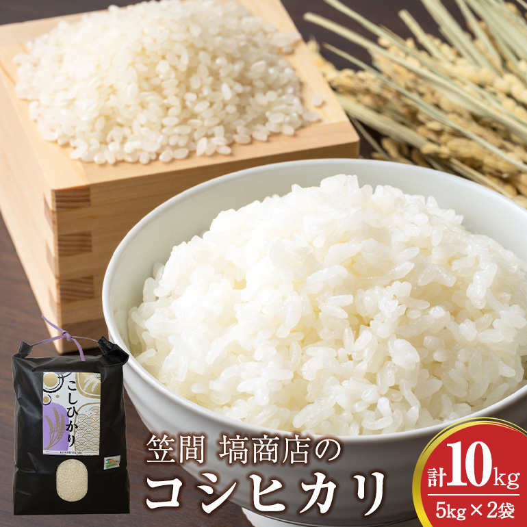 令和7年度産 笠間 塙商店の コシヒカリ 10kg(5kg×2) 米 新米 精米 ブランド米 お米 白米 国産 おにぎり 弁当 R7年産 ごはん おいしい 旨い ふっくら お米 茨城県 笠間市 いばらき茨城県笠間市3