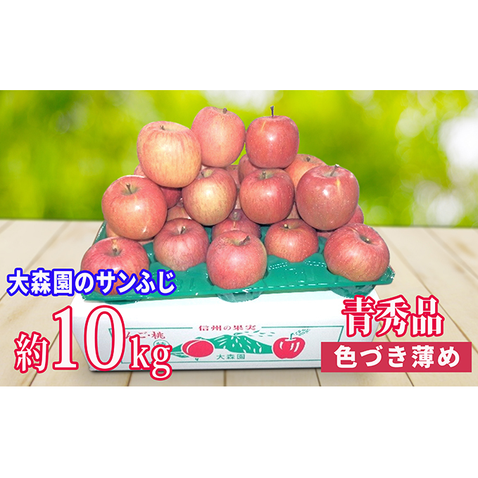 大森園のサンふじ (色つきが薄い青秀品) 約10kg長野県小諸市18000果物・フルーツりんご・梨