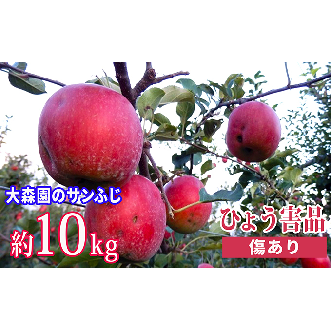 大森園のサンふじ【ひょう害品】 約10kg 果物類/林檎 りんご リンゴ 訳あり くだもの フルーツ 長野県小諸市18000果物・フルーツりんご・梨
