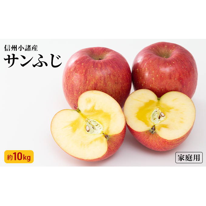 サンふじ りんご 家庭用 約10kg  長野県産 果物類 林檎 りんご リンゴ フルーツ 小諸市長野県小諸市15000果物・フルーツりんご・梨
