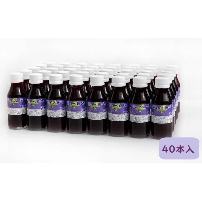 信州小諸産ブルーベリージュース100ml×40本セット 果汁飲料 野菜飲料 長野県小諸市68000お茶・飲料果汁・野菜飲料
