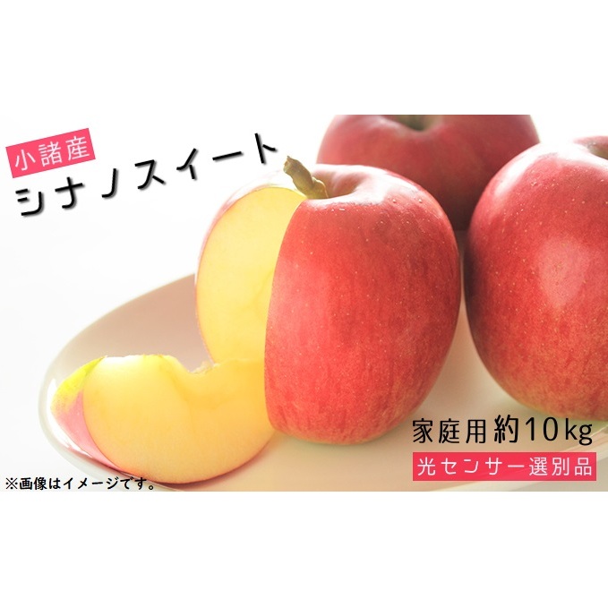 VimXC[g ƒp 10kg 쌧Y ʕ ь  S t[c s쌧s15000ʕEt[c񂲁E