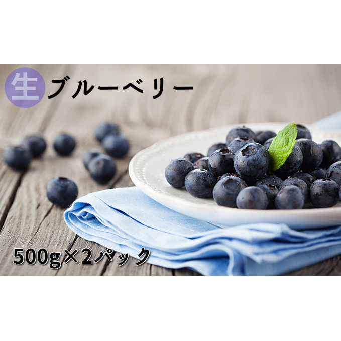 MBY yzu[x[500g×2pbN ʕl t[c ʕ 쌧s13000ʕEt[c̑ ʕEt[c