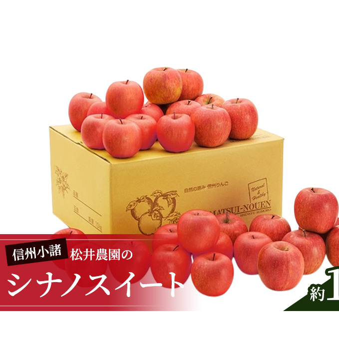信州小諸 松井農園のシナノスイート 約10kg 果物類・林檎・りんご・リンゴ 長野県小諸市34000果物・フルーツりんご・梨