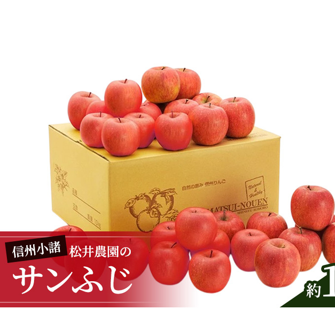信州小諸 松井農園のサンふじ 約10kg 果物類 林檎 りんご リンゴ 長野県小諸市34000果物・フルーツりんご・梨