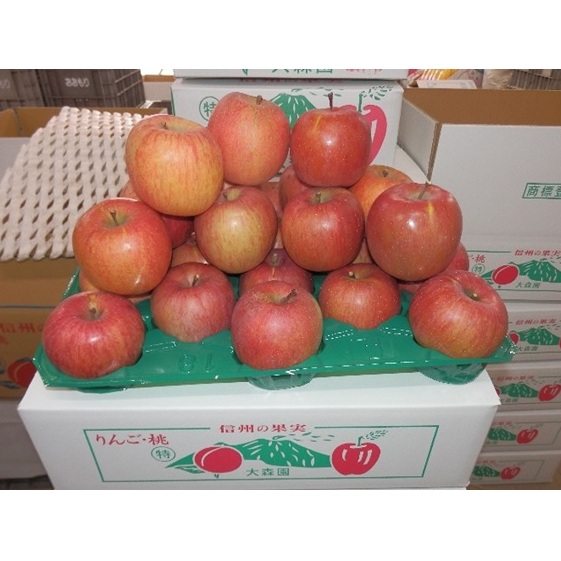 X̂񂲁@TӂGi5kg20ʓ ʕ ь S 쌧s14000ʕEt[c񂲁E