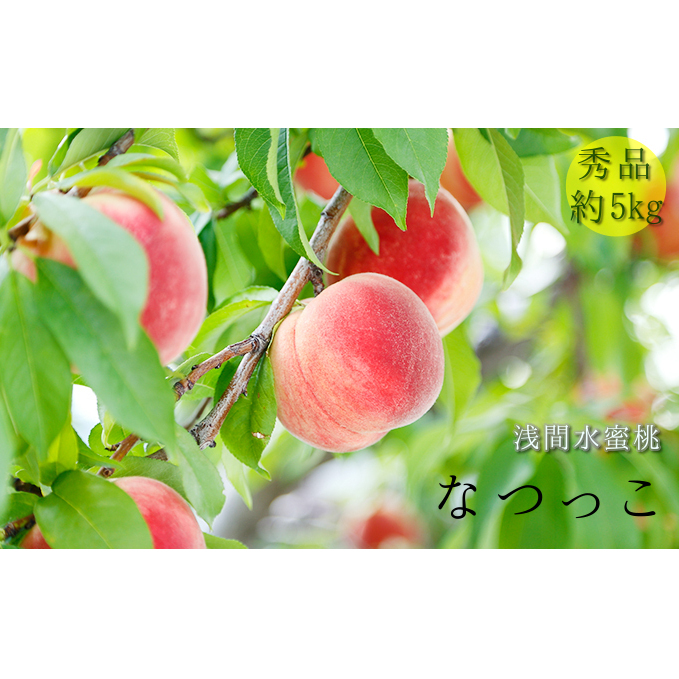 浅間水蜜桃 みつおかのもも なつっこ  秀品 約5kg 長野県産 果物 フルーツ 小諸ふるさと遺産 長野県小諸市16000果物・フルーツもも・すもも