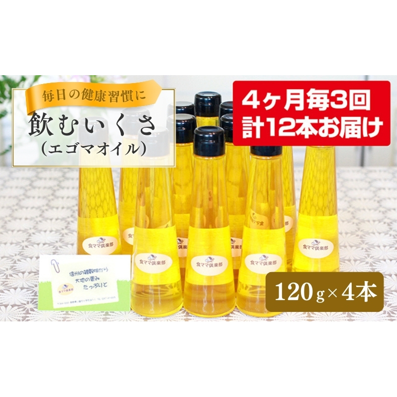 NIނiGS}jIC4{Zbg3񂨓͂  MB H ܃IC ܖ NHi   Hp 쌧s91000EHp