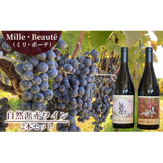 Mille・Beaut? (ミリ・ボーテ)無添加 無濾過 赤ワイン 2本セット お酒 晩酌 家飲み 宅飲み 飲み比べ ワイン飲み比べ 自生酵母 6か月間熟成 香り豊か 深い味わい 香り 果実味 長野県小諸市27000酒