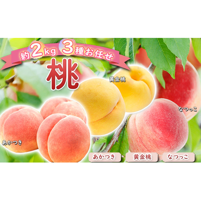  2kg 3킨C  Ȃ  ʕ  3   Yn 쌧 s 쌧s12000ʕEt[cE