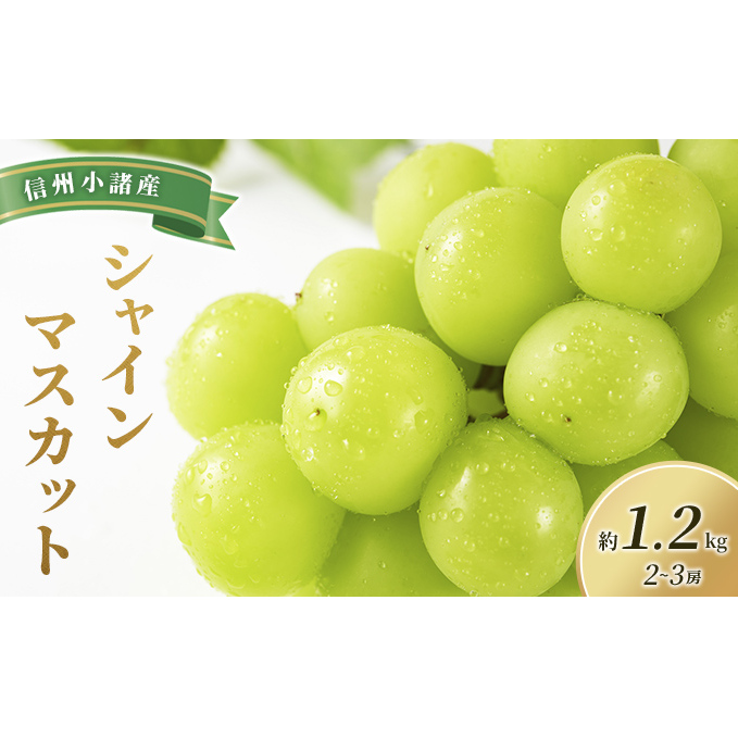 VC}XJbg 2`3[ 1.2kg  쌧Y ʕ Ԃǂ t[c }XJbg Â u₩  H׉  z s쌧s16000ʕEt[c}XJbgEԂǂ