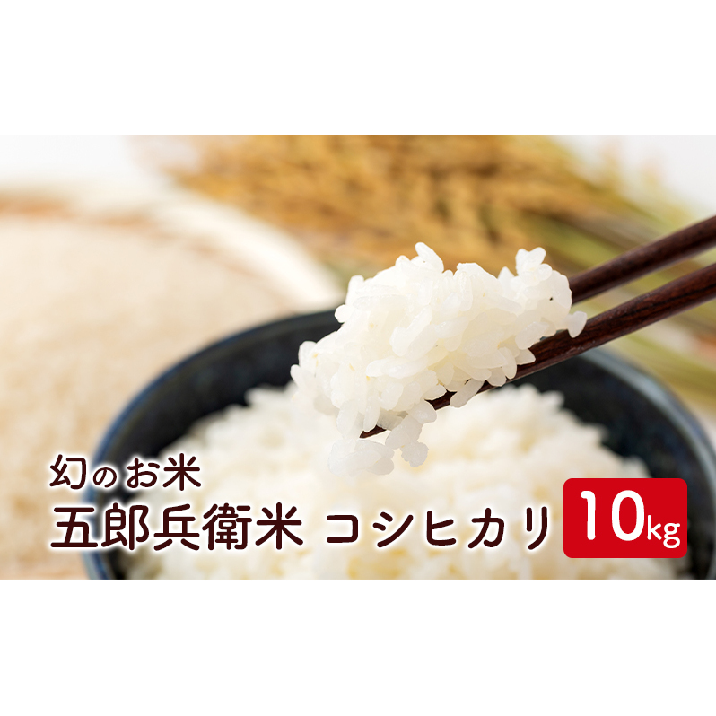幻のお米 五郎兵衛米 コシヒカリ 10kg ブランド米 銘柄米 白米 精米 ご飯 おにぎり お弁当 和食 長野県小諸市18000米・パン白米