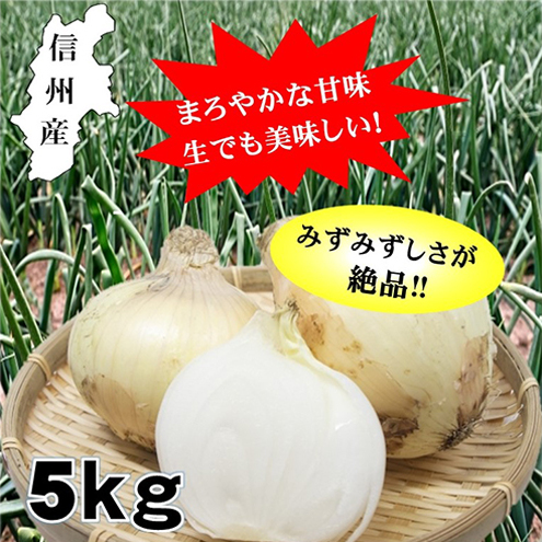 小諸産減農薬栽培・玉ねぎ約5kg 長野県小諸市11000野菜・きのこ玉ねぎ・ねぎ