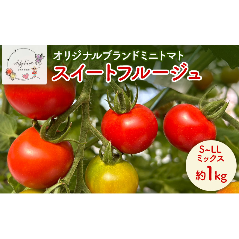 スイートフルージュ 約1kg アイビーファーム ミニトマト 長野 信州 小諸 産地直送長野県小諸市6000野菜・きのこトマト