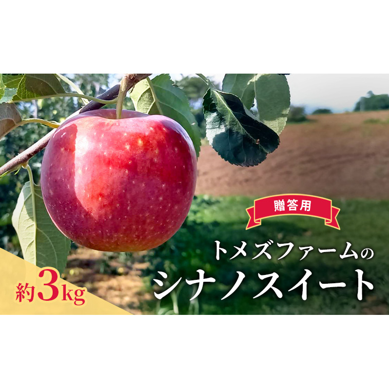 シナノスイート(贈答用) 約3kg(8玉〜12玉入り)トメズファーム りんご 長野 信州 小諸 果物 フルーツ長野県小諸市14000果物・フルーツりんご・梨