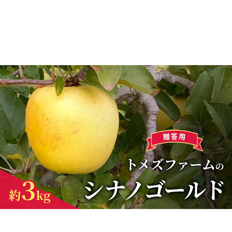 シナノゴールド(贈答用) 約3kg(8玉〜12玉入り)トメズファーム りんご 長野 果物 フルーツ長野県小諸市14000果物・フルーツりんご・梨