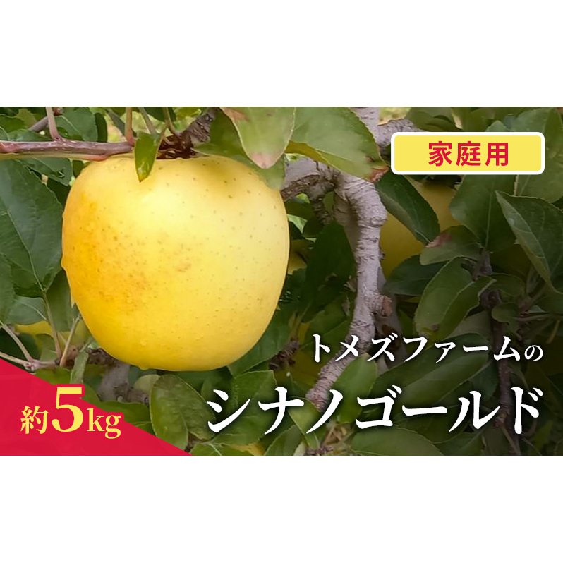 シナノゴールド(家庭用) 約5kg(15〜20玉入り)トメズファーム りんご 長野 信州 小諸 果物 フルーツ長野県小諸市14000果物・フルーツりんご・梨