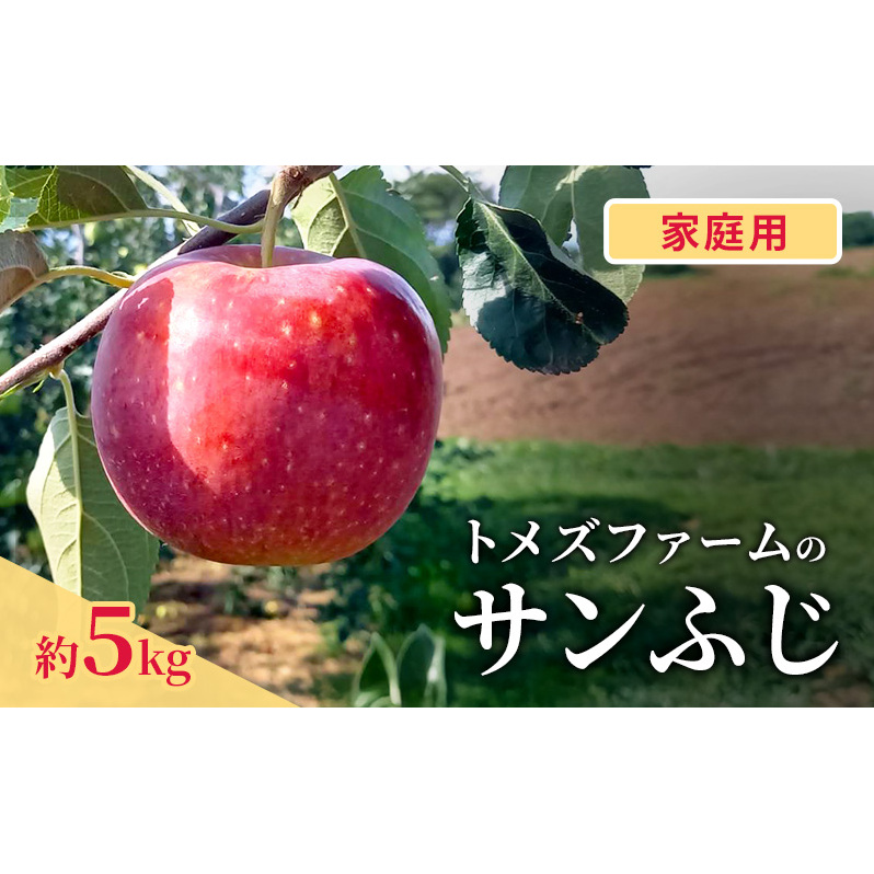 サンふじ(家庭用) 約5kg(15〜20玉入り)トメズファーム りんご 長野 信州 小諸 果物 フルーツ長野県小諸市14000果物・フルーツりんご・梨