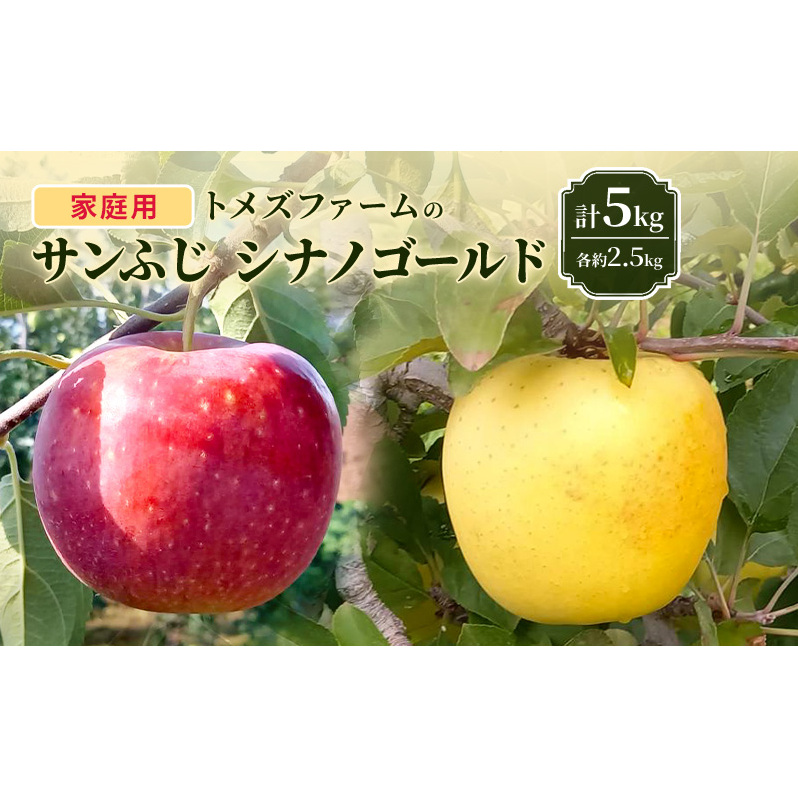 サンふじ・シナノゴールド詰合せ(家庭用) 各約2.5kg 計5kg トメズファーム りんご 長野 信州 小諸 果物 フルーツ 食べ比べ長野県小諸市14000果物・フルーツりんご・梨