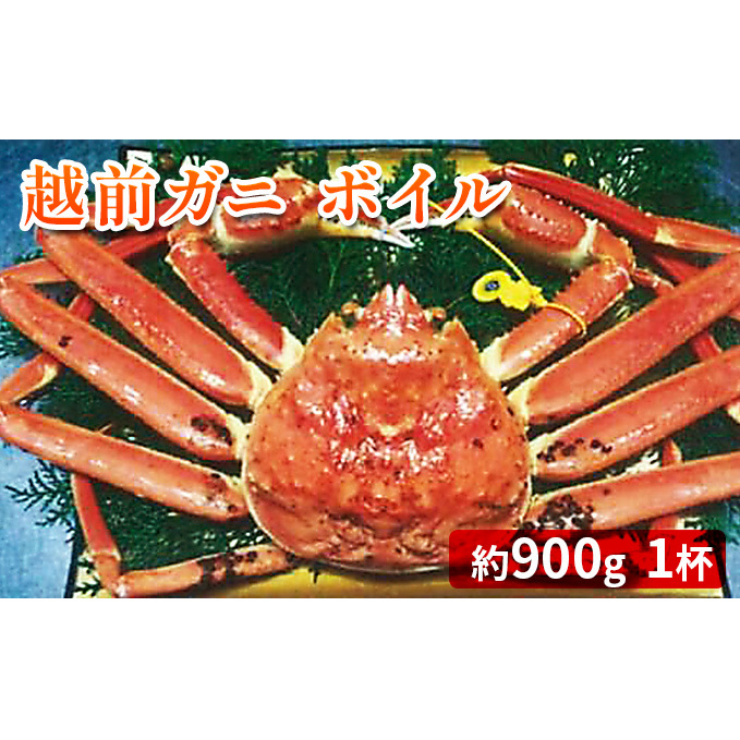 越前ガニ ボイル 約900g ズワイガニ かに 海鮮 海産物 海の幸 魚介 魚介類 越前かに 越前カニ 越前がに ずわいがに ずわい蟹 カニ 蟹 ボイルガニ 冷蔵 冷蔵配送 福井県 福井 若狭町 若狭福井県
