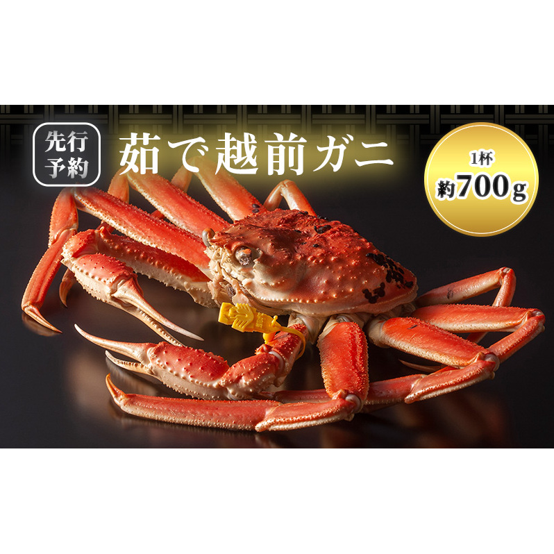 期間限定 茹で 越前ガニ 約700g以上 1杯  茹でガニ 越前カニ 越前蟹 ズワイガニ ずわい蟹 カニ かに 蟹 ボイルカニ ボイル蟹 ポーション 魚介 魚介類 海鮮 限定 福井 福井県 若狭町福井県若狭