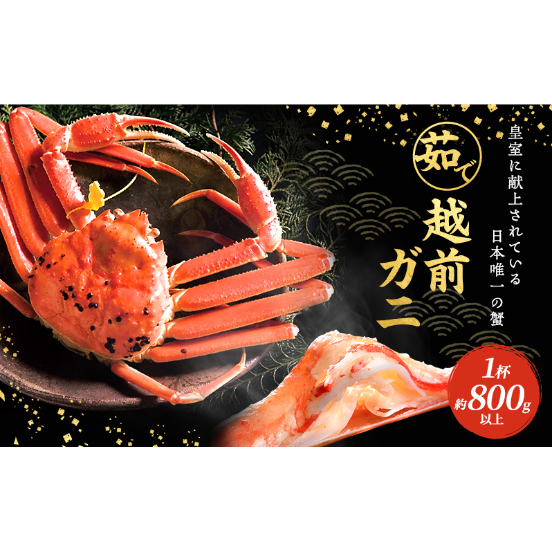 期間限定 茹で 越前ガニ 約800g以上 1杯 配送 食通もうなる本場の味をぜひ、ご堪能ください 越前かに 蟹 カニ ズワイガニ 海鮮 福井県 若狭町福井県若狭町100000魚介・海産物カニ