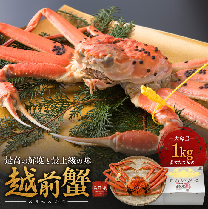 期間限定 茹で 越前ガニ 約1kg 1杯  茹でガニ 越前カニ 越前蟹 ズワイガニ ずわい蟹 カニ かに 蟹 ボイルカニ ボイル蟹 ポーション 魚介 魚介類 海鮮 限定 福井 福井県 若狭町福井県若狭町130000