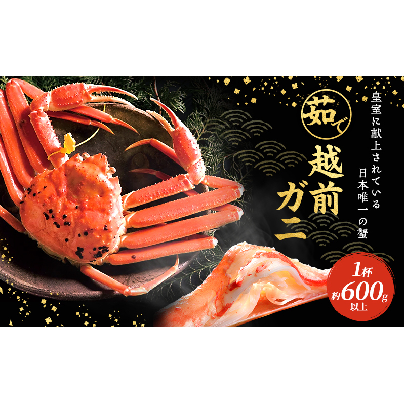 期間限定 茹で 越前ガニ 約600g以上 1杯  食通もうなる本場の味をぜひご堪能ください 越前カニ ズワイガニ カニ 蟹 海鮮 福井県 若狭町福井県若狭町57000魚介・海産物カニ