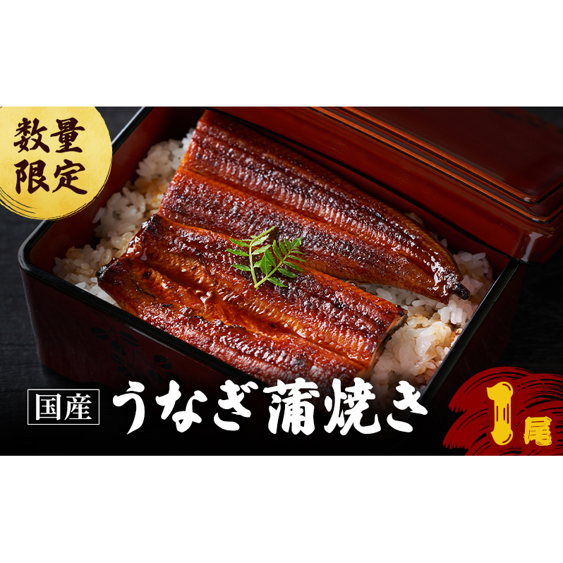 数量限定 うなぎ 1尾 国産うなぎ 蒲焼き 国産 うなぎ ウナギ 鰻 国産鰻 うなぎの蒲焼き ウナギの蒲焼 国産うなぎ蒲焼 国産鰻の蒲焼 魚 お魚 魚介 魚介類 海鮮 海鮮セット 惣菜 職人 手焼き ギ