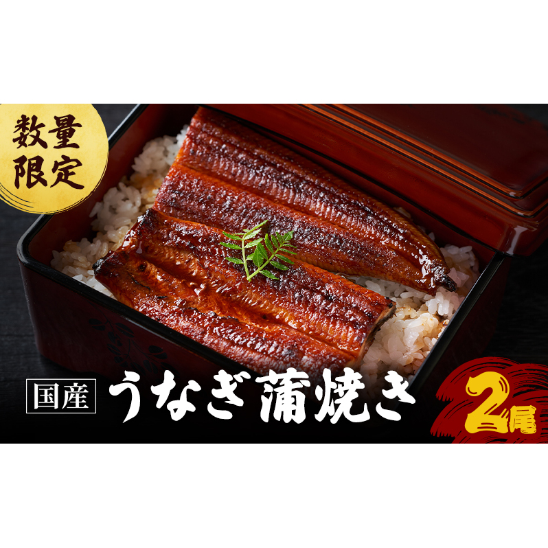 数量限定 国産うなぎ 蒲焼き 2尾 セット 詰め合わせ うなぎ 鰻 ウナギ 国産 うなぎの蒲焼き 鰻の蒲焼 老舗うなぎ専門店 徳右ェ門 魚介 魚介類 海鮮 限定 福井 福井県 若狭町福井県若狭町29000