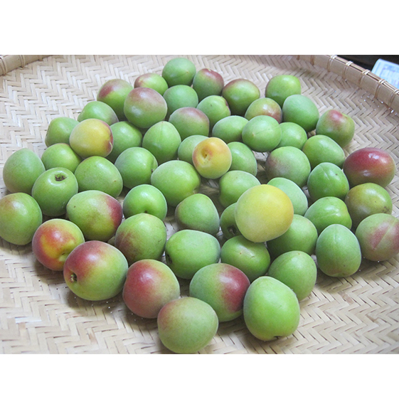 6月中旬〜順次発送 青梅(紅映梅)2kg 2Lサイズ前後 秀と優の混合 野菜 ウメ 福井県若狭町11000果物・フルーツ