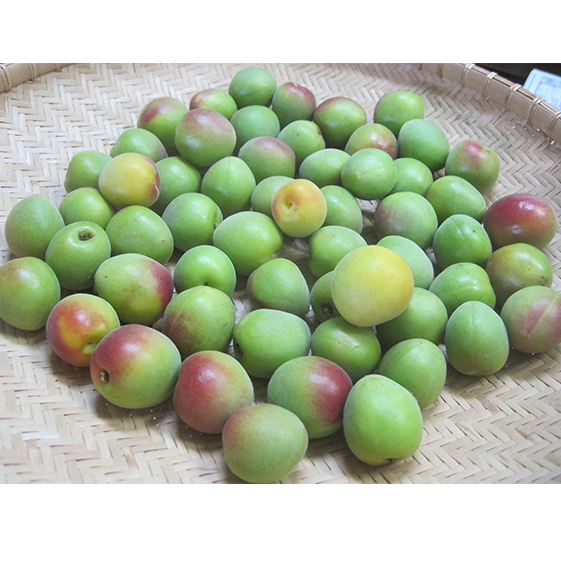 6月中旬〜順次発送 青梅(紅映梅)5kg 2Lサイズ前後 秀と優の混合 野菜 ウメ 福井県若狭町19000果物・フルーツ
