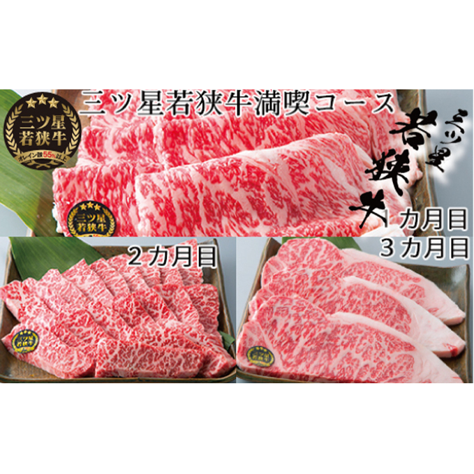 若狭牛 定期便 3ヶ月 三ツ星若狭牛満喫コース1 高島屋 選定品 ロース すき焼き すき焼き肉 カルビ 焼肉 焼き肉 BBQ バーベキュー サーロイン サーロインステーキ ステーキ肉 黒毛和牛 牛肉 牛