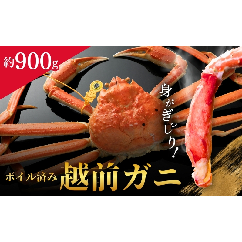 越前ガニ ボイル 約900g 高島屋 選定品 ズワイガニ かに 海鮮 海産物 海の幸 魚介 魚介類 越前かに 越前カニ 越前がに ずわいがに ずわい蟹 カニ 蟹 ボイルガニ 冷蔵 冷蔵配送 福井県 福井 若