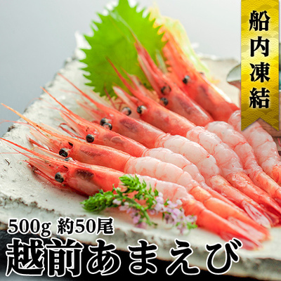 日本海 甘えび 子なし 500g 約50尾 越前甘えび 甘海老 あまえび えび エビ 海老 魚介 魚介類 海鮮 冷凍 福井 福井県 若狭町福井県若狭町9000魚介・海産物エビ