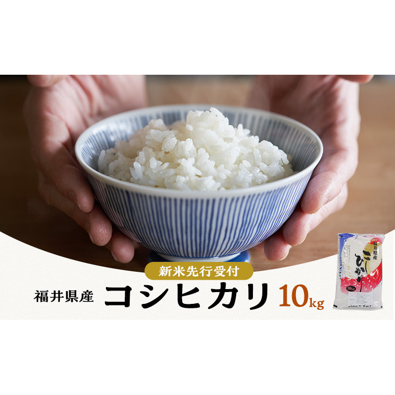 米 コシヒカリ 10kg 産地直送 一等米 お米 白米 精米 新米 ご飯 10キロ おこめ こめ コメ ごはん こしひかり 福井県 福井 若狭町 若狭  令和6年 令和6年産 2024年 発送 年内発送福井県若狭町12000米