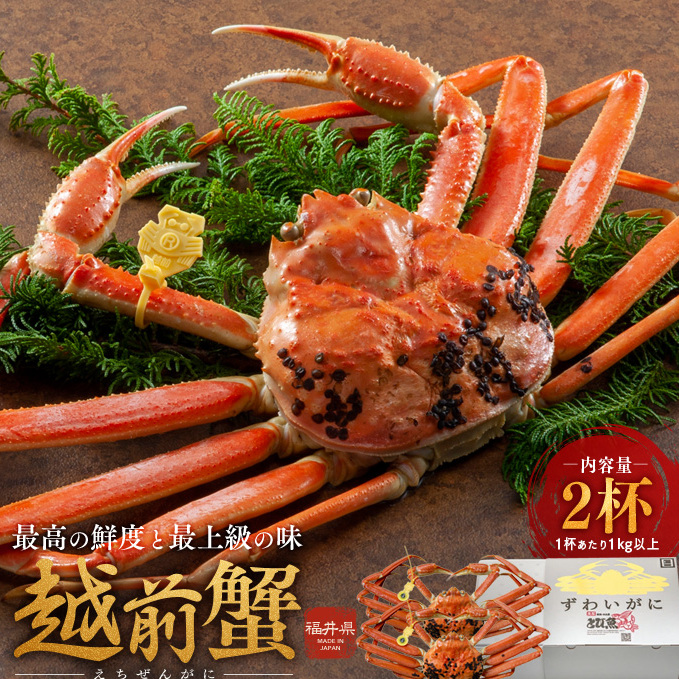 期間限定 茹で 越前ガニ 約1kg以上 2杯  食通もうなる本場の味をぜひご堪能ください 茹でガニ ズワイガニ カニ 蟹 海鮮 福井県 若狭町福井県若狭町250000魚介・海産物カニ