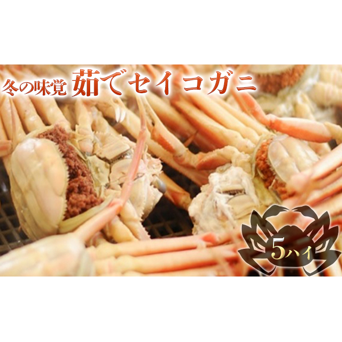 お歳暮 茹で セイコガニ メス 5杯 セット 詰め合わせ 冬の味覚 カニ 蟹 かに 茹でカニ せいこ蟹 カニセット 魚介 魚介類 海鮮 海鮮セット 福井 福井県 若狭町福井県若狭町27000魚介・海産物カ