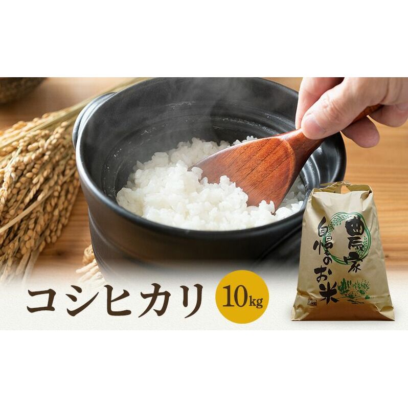 米 令和7年産 コシヒカリ 10kg 白米 精米 こめ コメ 一等米 特A 特a米 新米 こしひかり 山心ファーム 福井 福井県 若狭町福井県若狭町30000米・パン白米