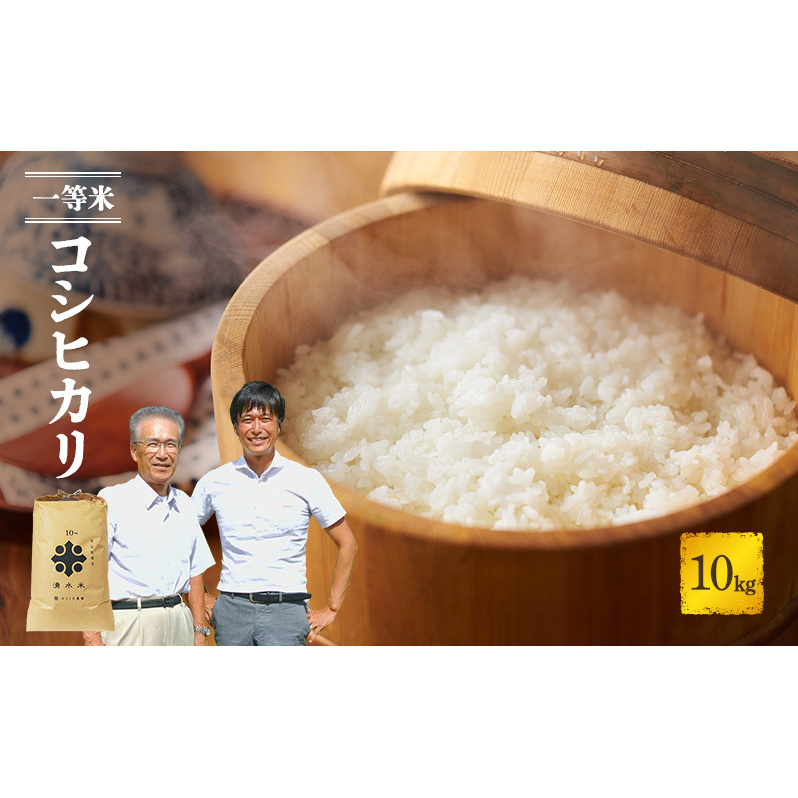 米 コシヒカリ 10kg 産地直送 一等米 特A 特A米 お米 白米 精米 新米 ご飯 令和6年産 10キロ おこめ こめ コメ ごはん こしひかり 福井県 福井 若狭町 若狭 福井県若狭町14000米・パン白米