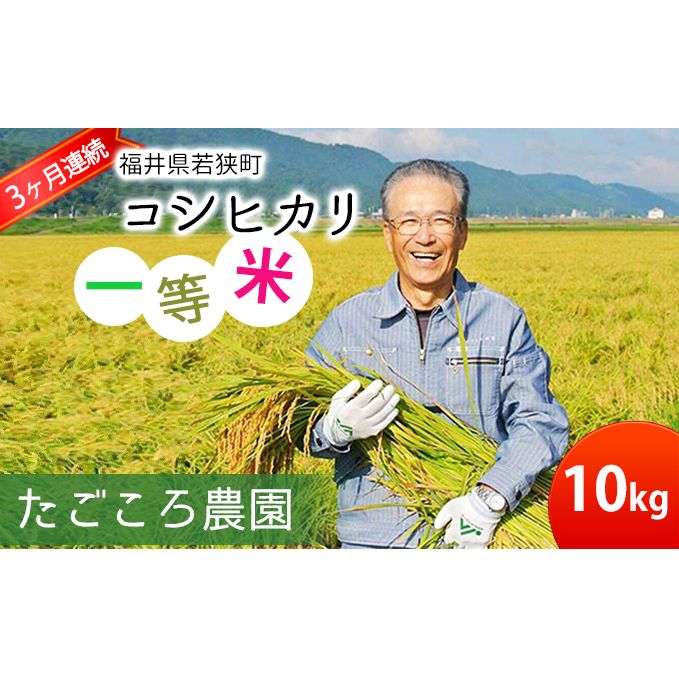 y3PA͂zߘa6NxY V s\ RVqJ 10kg ꓙ     R    ͂ _ 䌧  G VN Yn 䌧Y 䌧ዷ
