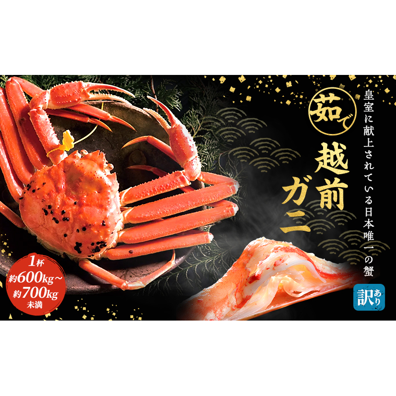訳あり 茹で 越前ガニ 約600g〜700g未満 1杯 年末配送 食通もうなる本場の味をぜひ、ご堪能ください 越前かに 蟹 カニ かに ボイルカニ ボイル蟹 ポーション ズワイガニ 海鮮 脚折れ 訳アリ 福