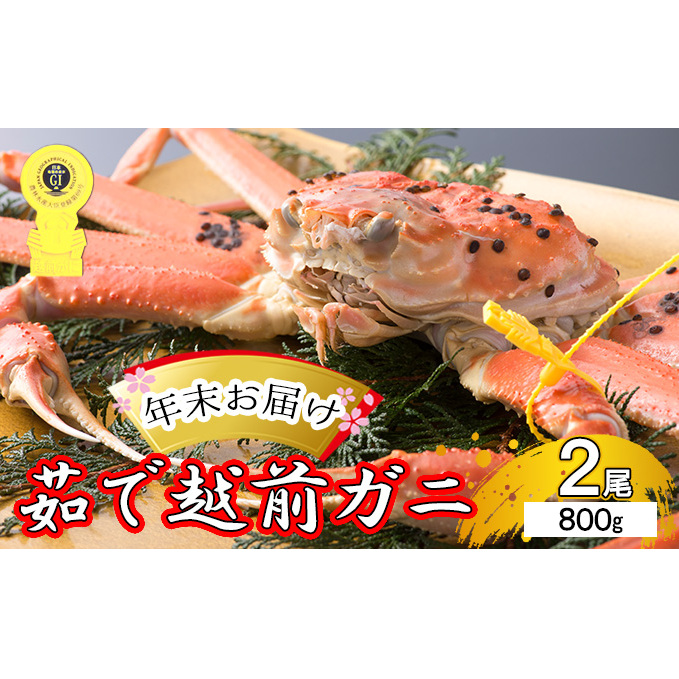 茹で 越前ガニ 約800g 2杯 年末配送 食通もうなる本場の味をぜひ、ご堪能ください 越前かに 蟹 カニ かに ボイルカニ ボイル蟹 ポーション ズワイガニ ずわい蟹 海鮮 福井 福井県 若狭町福井