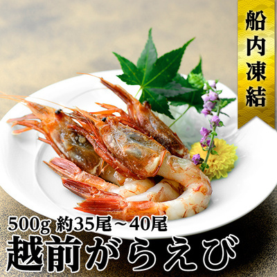 越前ガラエビ 約500g(約35〜40尾) 魚介類 国産 福井県産 刺身 ねっとり 甘い 弾力 濃厚 旨味 塩焼き 煮つけ 味噌汁の具 船内凍結 獲れたてのような味 福井県若狭町11000魚介・海産物エビ