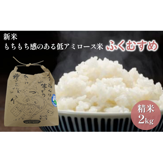 【先行予約】ふくむすめ2kg(令和7年度産)もちもち感のある低アミロース米 特別栽培米 若狭・天狗山農園 お米 人気 もち米 食感 農薬 化学肥料 福井県若狭町11000米・パン白米