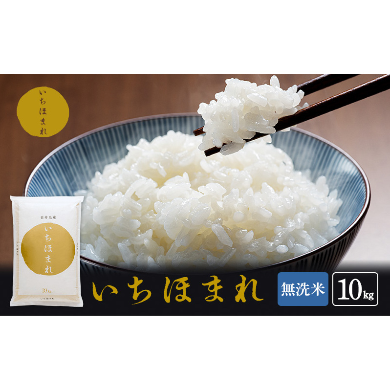 無洗米 令和7年産 いちほまれ 10kg 福井 高級ブランド米 お米 おこめ 米 コメ こめ 白米 精米 ご飯 ごはん 福井県 福井県若狭町41000米・パン白米