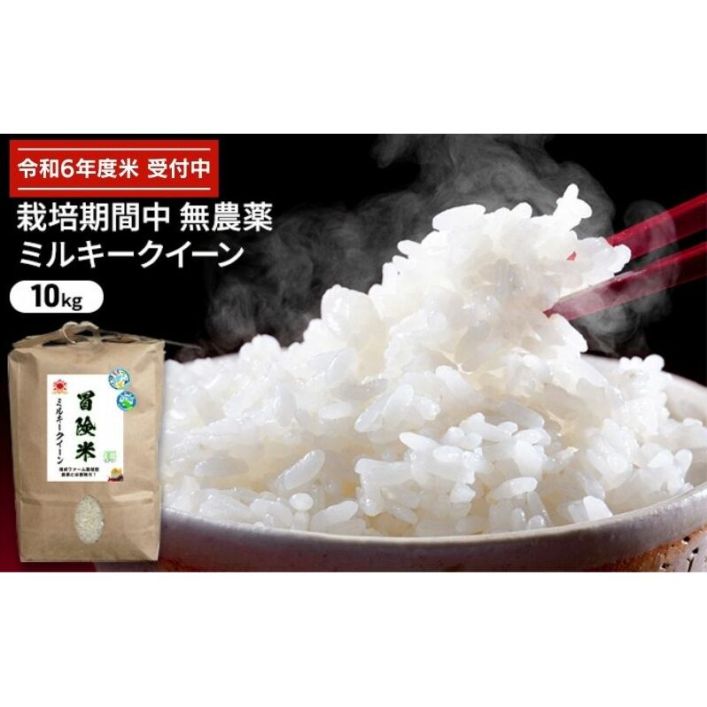 令和6年産 栽培期間中無農薬ミルキークイーン 10kg お米 精米 白米 玄米 ブランド米 ご飯 おにぎり お弁当 もちもち 冷めてもおいしい 福井県若狭町26000米・パン白米