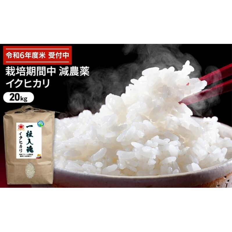 令和6年産 栽培期間中減農薬 イクヒカリ 20kg お米 精米 白米 玄米 銘柄米 ご飯 おにぎり お弁当 産地直送 福井県若狭町37000米・パン白米